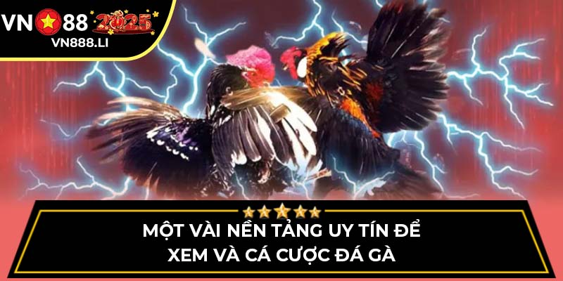 Một vài nền tảng uy tín để xem và cá cược đá gà