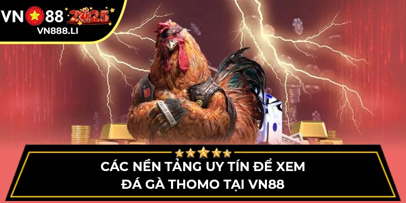 Các Nền Tảng Uy Tín Để Xem Đá Gà Thomo Tại VN88