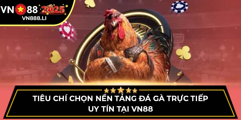 Tiêu Chí Chọn Nền Tảng Đá Gà Trực Tiếp Uy Tín Tại VN88